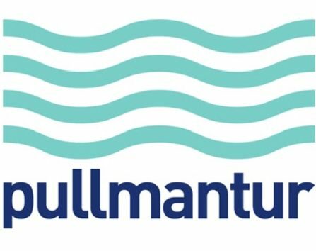 logo pullmantur
